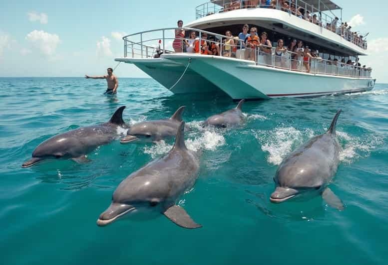 Dolphin House Snorkeling Trip from Hurghada