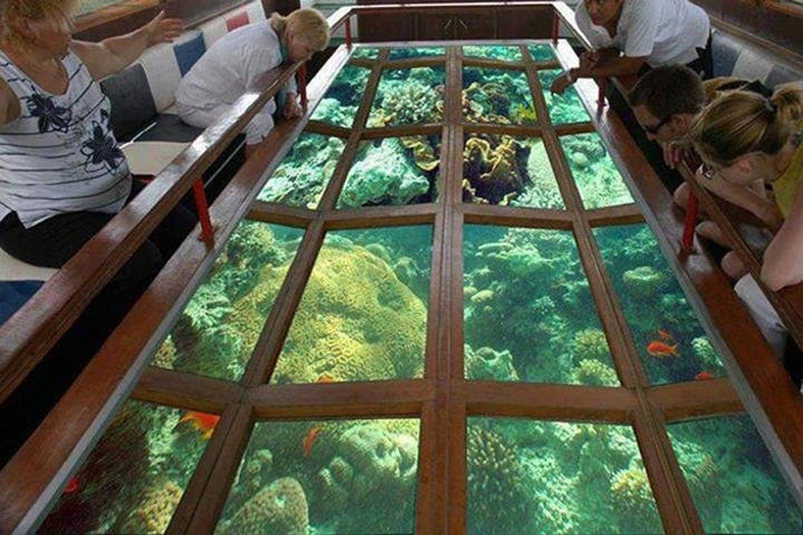 Glass Boat Trip in Sharm El Sheikh