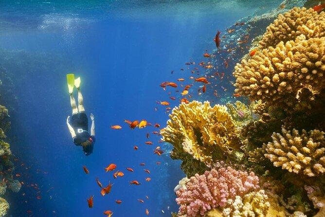 Blue Hole & Canyon Safari
