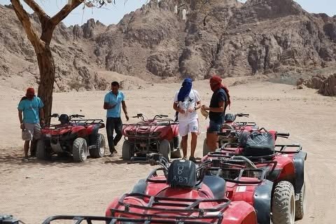 Safari Dinner & Bedouin Night