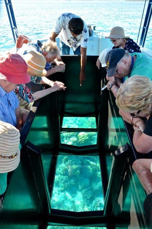 Glass Boat Trip in Sharm El Sheikh
