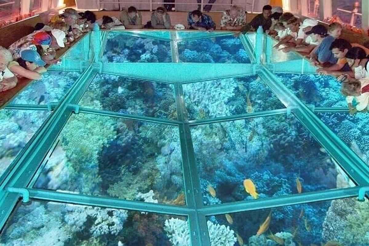 Glass Boat Trip in Sharm El Sheikh