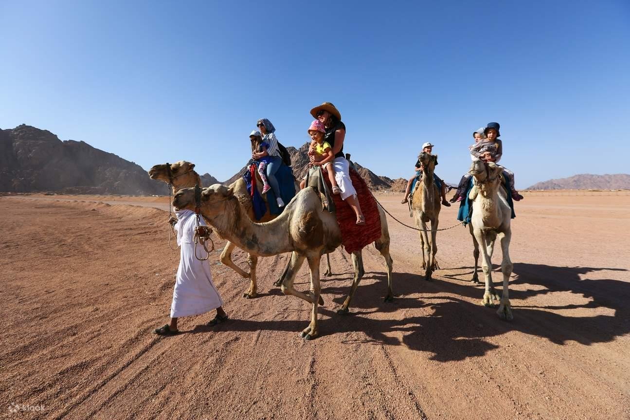 Sunrise Desert Safari in Sharm El Sheikh