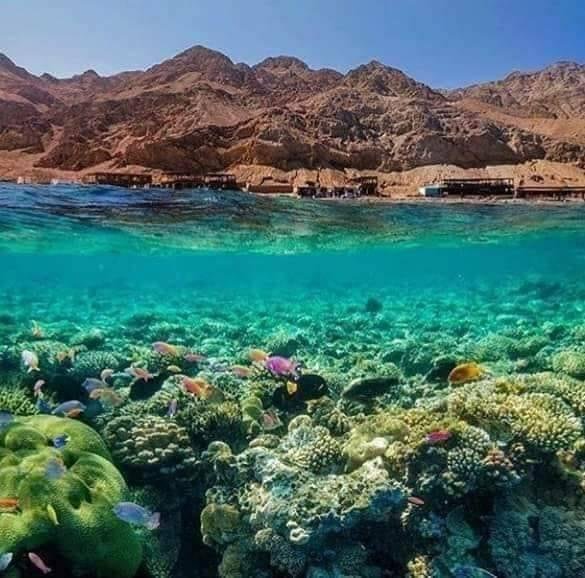 Three Pools Snorkeling Adventure