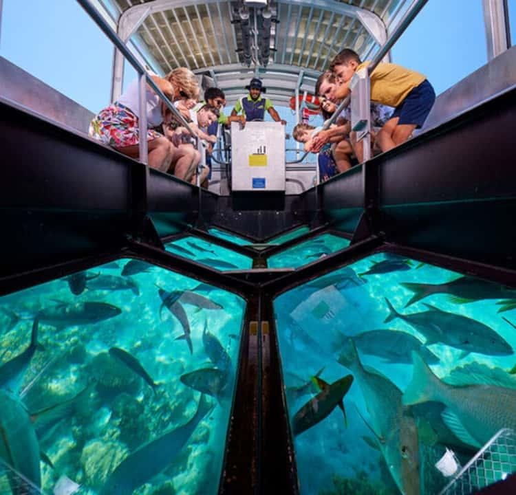 Glass Boat Trip in Sharm El Sheikh